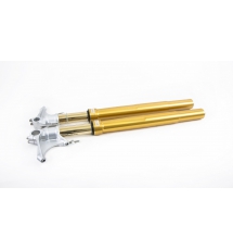 Phuộc Trước Ohlins Kawasaki H2 2015-19